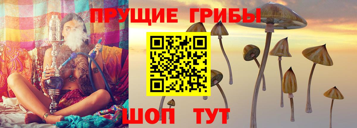 Галлюциногенные грибы Cubensis Канаш